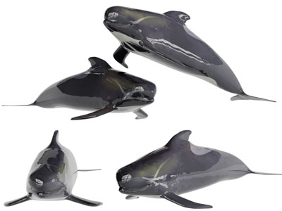 游泳的鲸鱼水生动物3d模型 游泳的鲸鱼水生动物