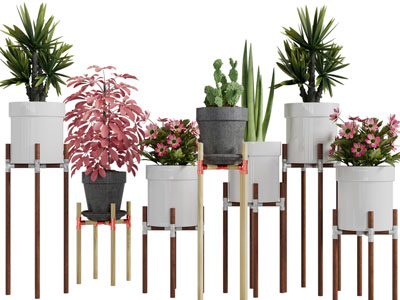 现代实木花架盆栽植物