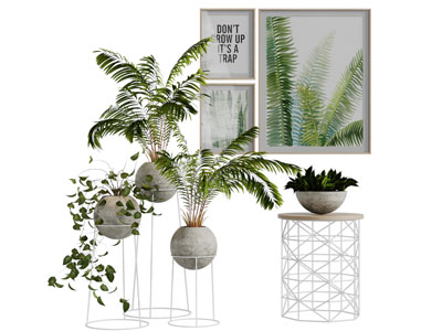 现代花架圆形花盆盆栽植物