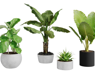 现代陶艺花盆盆栽植物