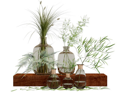 透明玻璃花瓶花卉