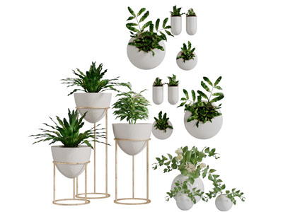 现代轻奢花架盆栽植物