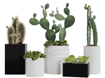 现代方形花盆多肉植物盆栽