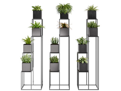 现代黑色铁艺花架盆栽植物