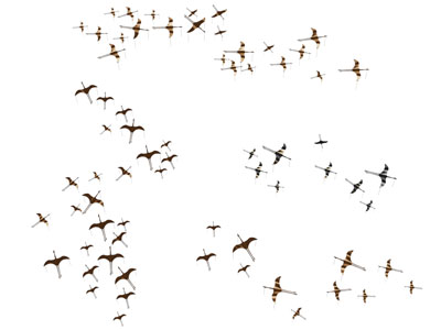 新中式仙鹤墙饰挂件