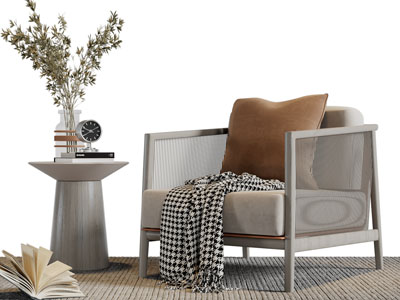 新中式休闲单人沙发茶几