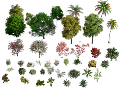 现代灌木花草绿植