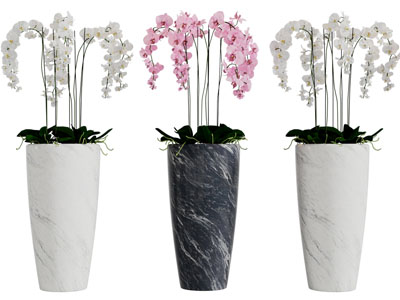 现代大理石纹理花纹花盆的植物花卉盆栽