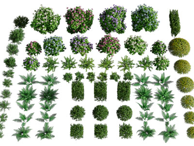 圆形方形景观花草灌木绿植