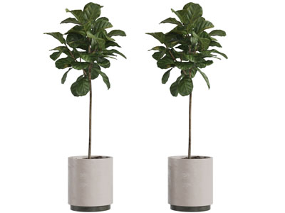 现代圆柱形植物盆栽