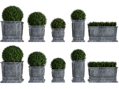 中式户外水泥花盆盆栽植物