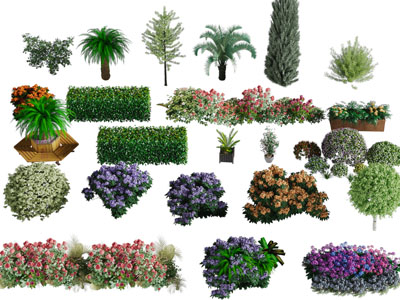 园林方形圆形花草绿植