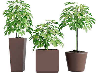 现代陶艺方形花盆植物盆栽