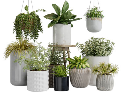 现代花纹装饰的花盆植物盆栽