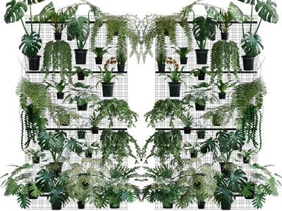 挂在墙上的盆栽植物