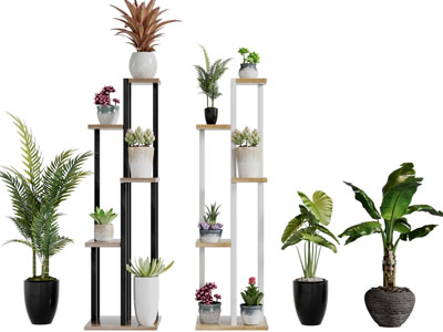 现代绿色植物多肉盆栽