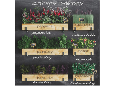 工业风实木盆栽植物墙