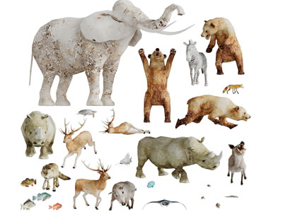 大象熊犀牛麋鹿爬行动物