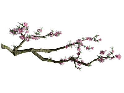 中式梅花枝墙饰挂件