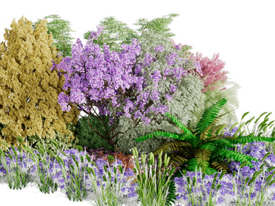 开满花朵的花草灌木丛园艺小品