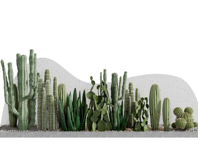 现代仙人掌仙人柱多肉植物园艺小品
