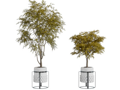 现代不锈钢花架植物盆景盆栽