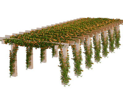 现代户外实木藤蔓植物花架
