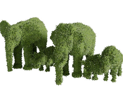 现代大象动物造型的景观灌木