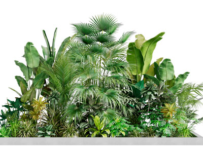 现代植物景观园艺小品