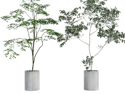 现代水泥柱形花盆植物盆栽