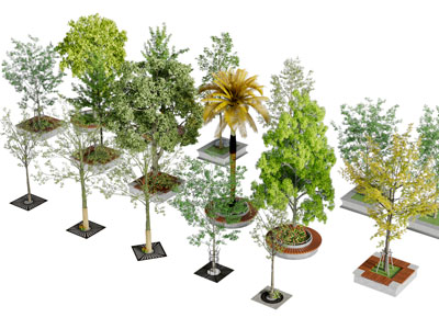 城市道路带花坛景观树木