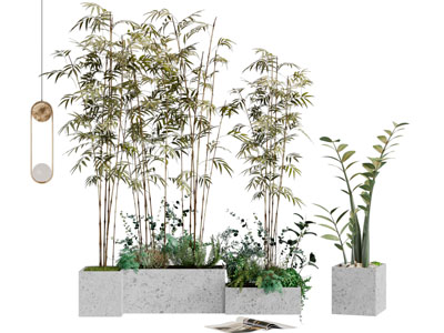 新中式盆栽竹子