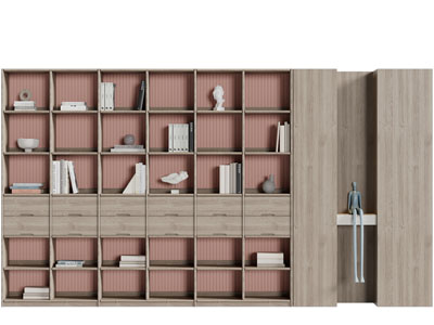 现代实木装饰书柜