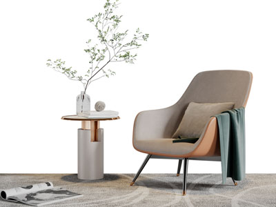 现代单人休闲沙发茶几