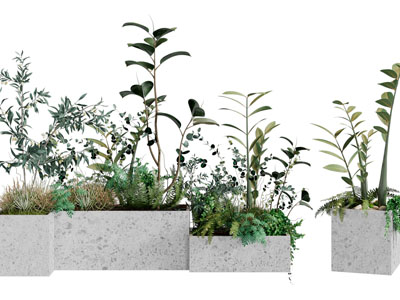 现代方形花坛盆栽植物