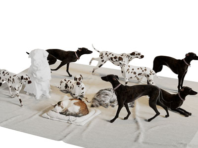 斑点狗猫爬行动物