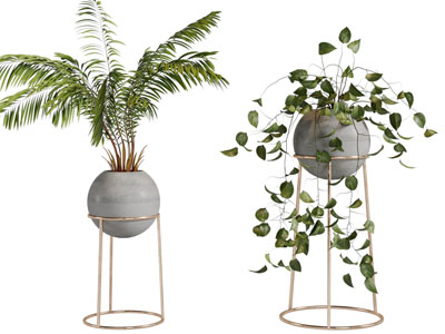 现代轻奢花架盆栽植物