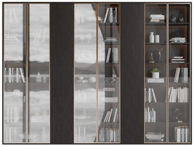 现代金属框玻璃柜门的置物收纳装饰柜