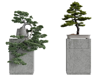中式放在水泥柱上的松树盆景盆栽