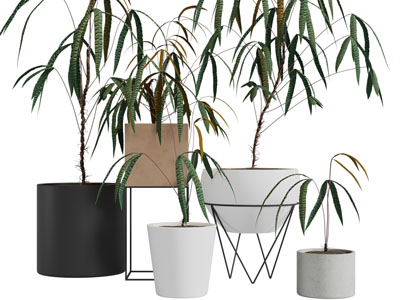 现代陶艺花盆植物盆栽