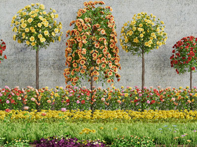 开满花朵的景观园艺小品