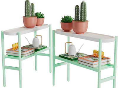 现代双层收纳装饰架