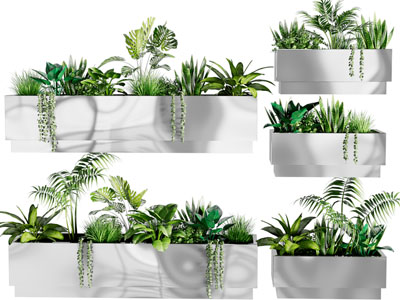 现代长方形花盆植物盆栽