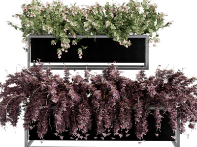 现代长方形花盆盆栽植物