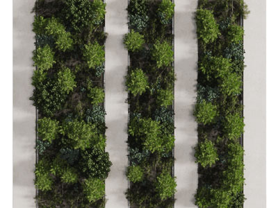 现代装饰植物的背景墙