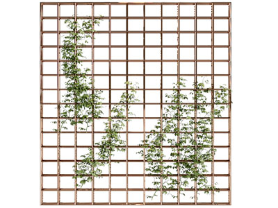 现代轻奢爬满藤蔓植物的隔断3d模型 现代轻奢爬满藤蔓植物的隔断