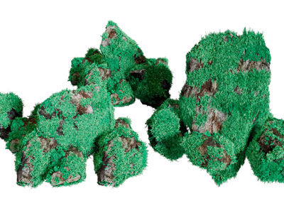 长满苔藓的园林石头