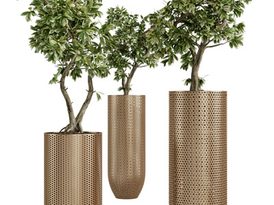 现代轻奢植物盆栽