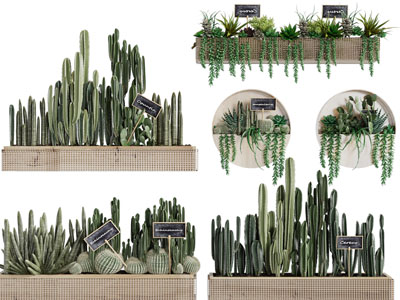 侘寂风花盆多肉绿植盆栽