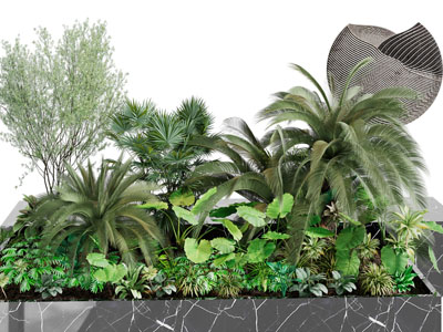 花坛里的植物园艺小品